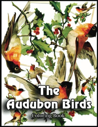 The Audubon Birds Coloring Book: Awesome Audubon Birds Designs in 110 ...