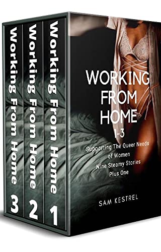 Working From Home 1-3: Supporting the Queer Needs of Women Nine Steamy Stories Plus One