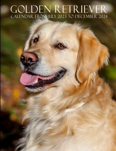 Golden Retriever Calendar from July 2023 to December 2024: At A Glance 18  Month Calendar July 2023 - December 2024 With Stunning Images Of Golden  Retriever Lovers Gift 8.5x11 Inches. by Yahya Tiz En | Goodreads