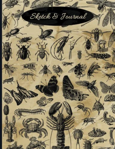 Nature Sketch & Journal: 120 composition notebook pages alternating