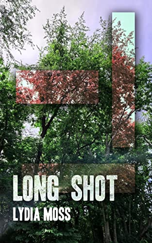 Long Shot: Big Shot Christian Romantic Suspense Book 1