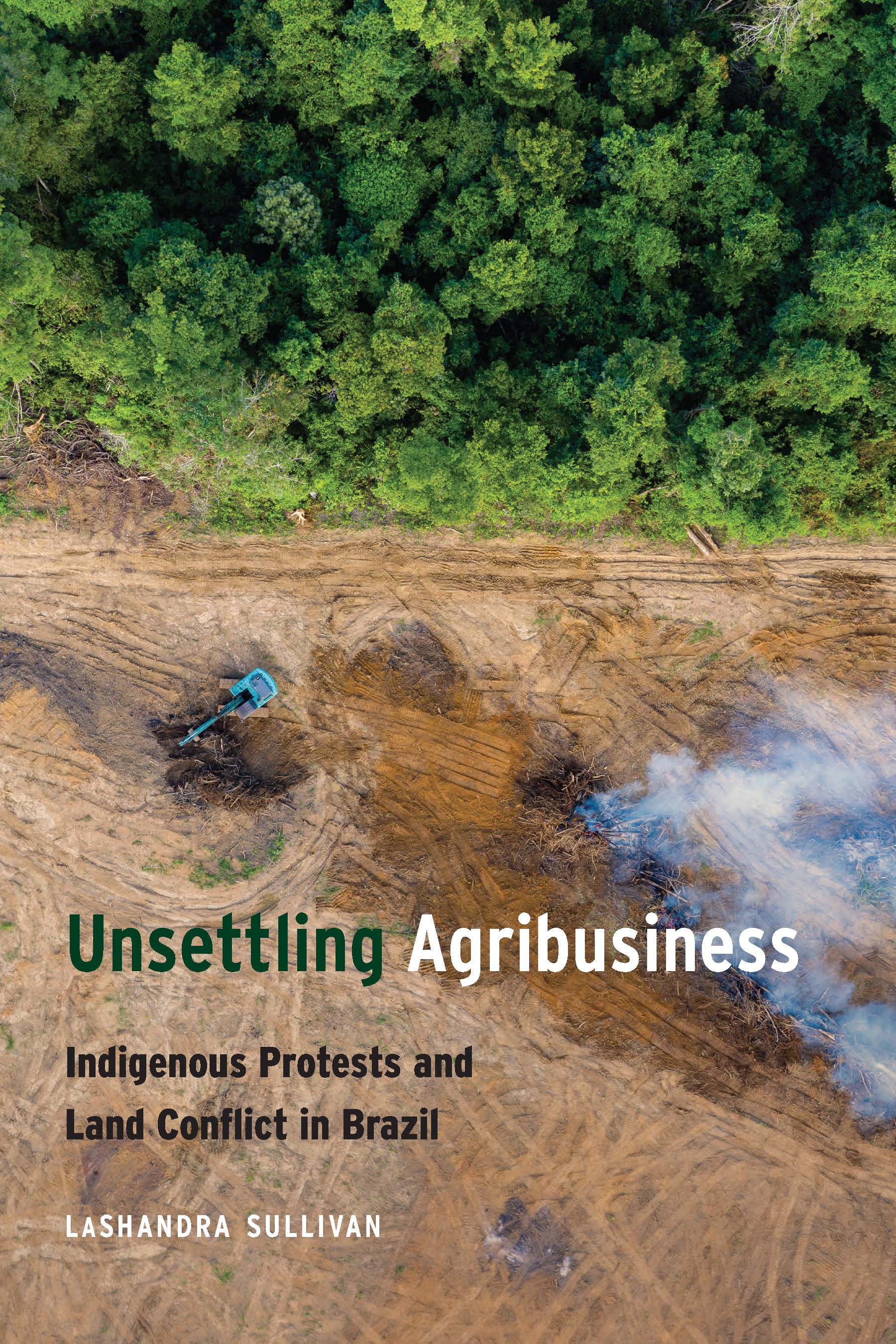 Unsettling Agribusiness: Indigenous Protests and Land Conflict in ...