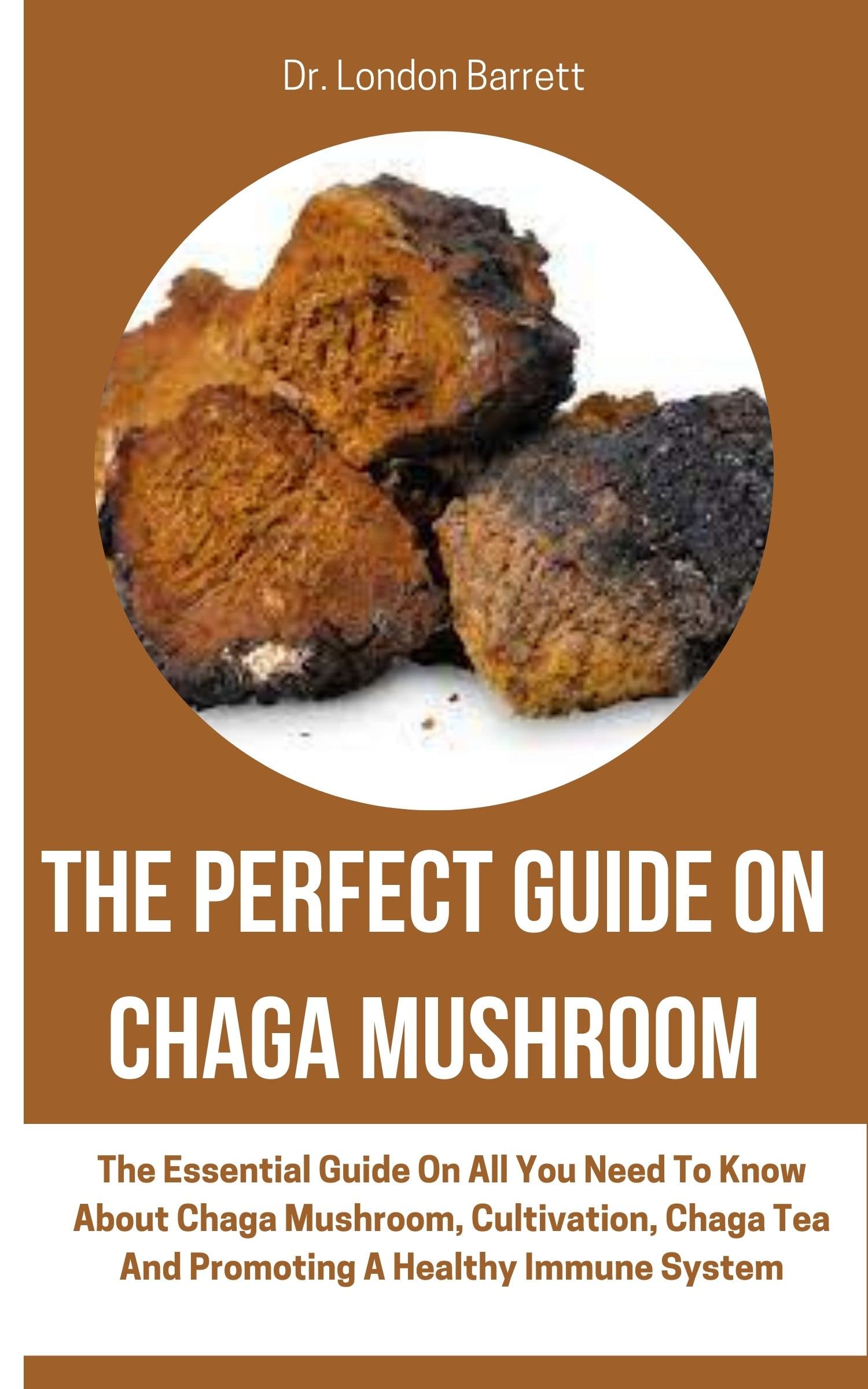 THE PERFECT GUIDE ON CHAGA MUSHROOM The Essential Guide On All You