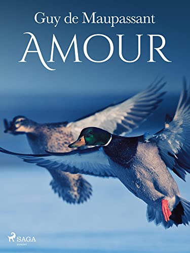 Amour (Grands Classiques) book cover