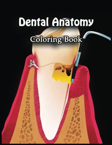 Dental Anatomy Coloring Book: Escape the Everyday with this Colorful