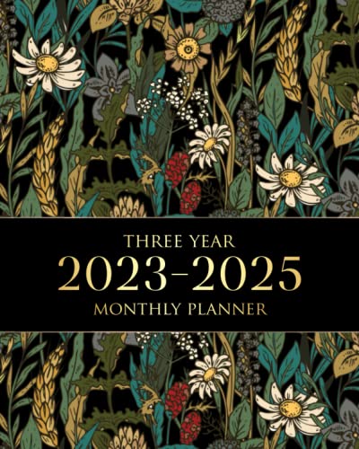 2023-2025 Monthly Planner: Goals To Do List Organizer And Appointment