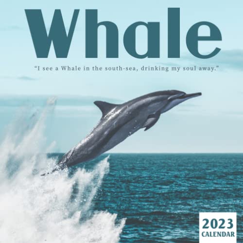 Whale Calendar Beautiful 2023 Calendar Gift for Family, Friends and