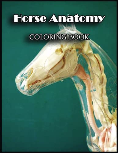 Horse Anatomy Coloring Book: Escape Reality and Immerse Yourself in a