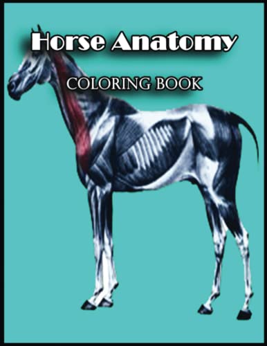 Horse Anatomy Coloring Book: 110 Horse Anatomy Coloring Pages to