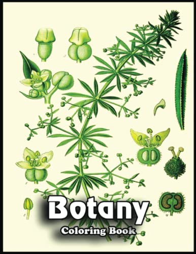 Botany Coloring Book Get Creative - 125632191 
