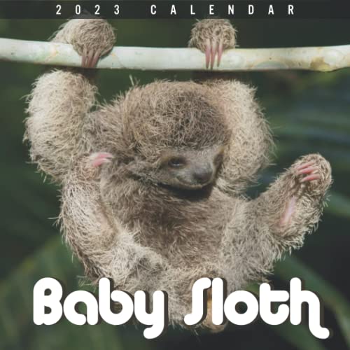 baby-sloth-calendar-beautiful-2023-calendar-gift-for-family-friends