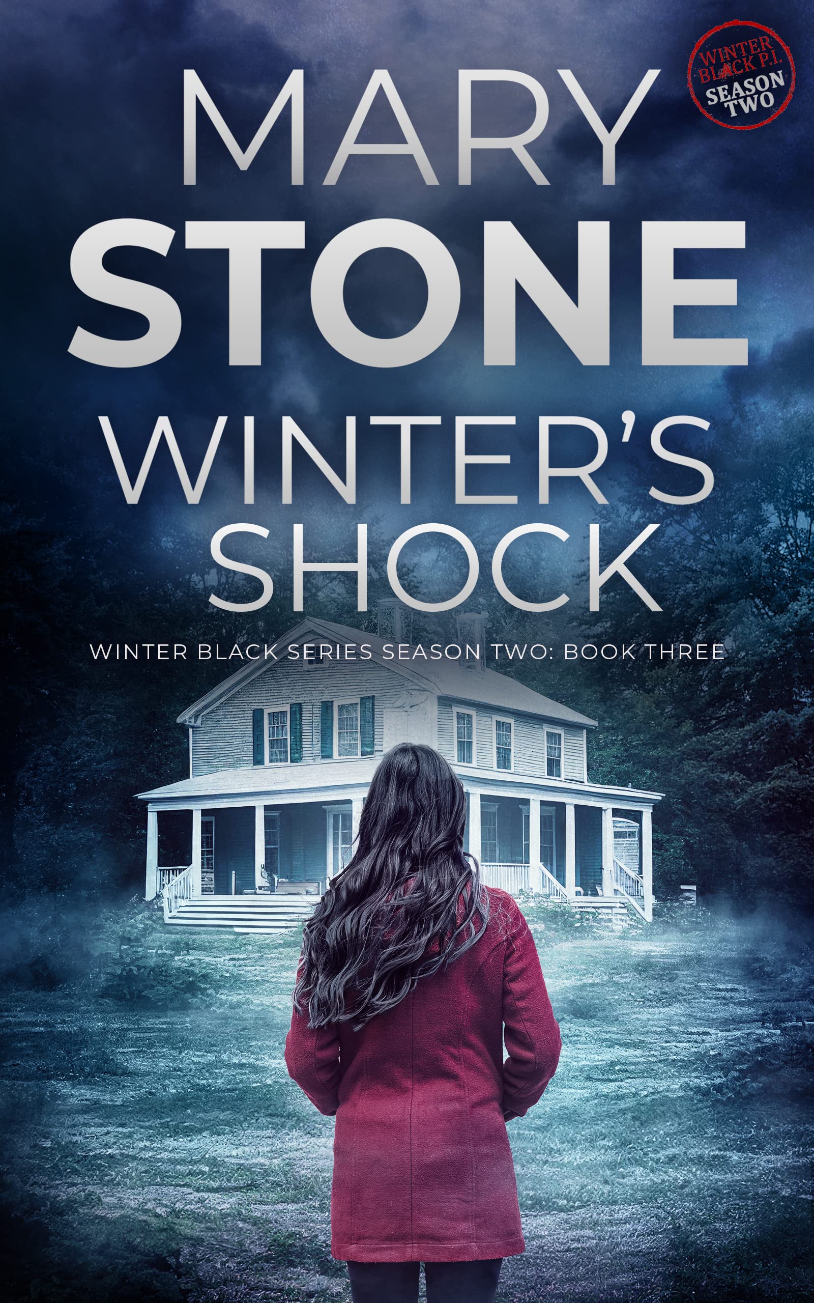 Winter's Shock book cover
