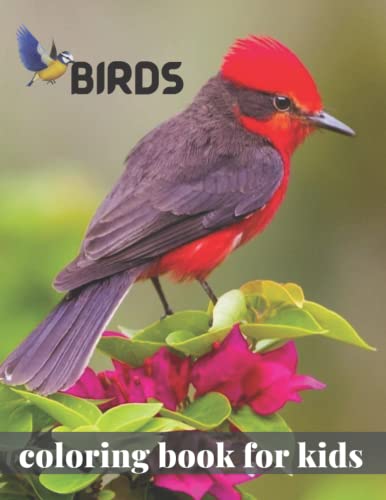 Bird Coloring Book For Kids: bird coloring book for kids ages 2-12 ...