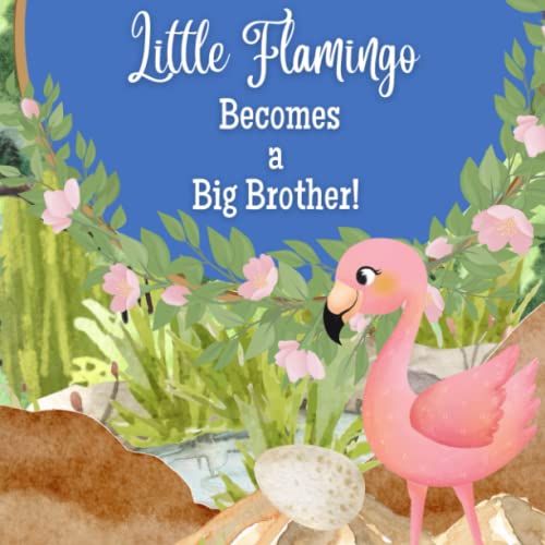 Little Flamingo a Big Brother! I'm a New Big Brother! by