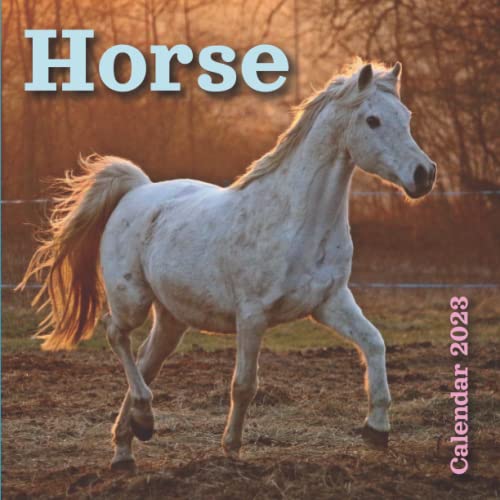 horse-calendar-2023-horse-calendar-2023-18-month-july-2022-to