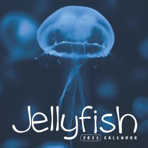 Jellyfish Calendar 2023 8.5"x8.5" Mini Calendar 2023 with