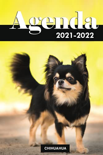 Calendrier Mural 2026 Chihuahua - Format A3 (29,7x42 Cm) - 12 Photos De Chiots - Reliure Spirale