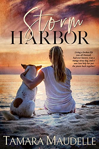 Storm Harbor: Christian Contemporary Paranormal Romance