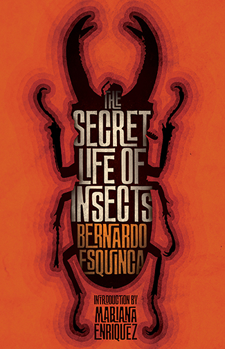 The Secret Life of Insects and Other Stories book cover