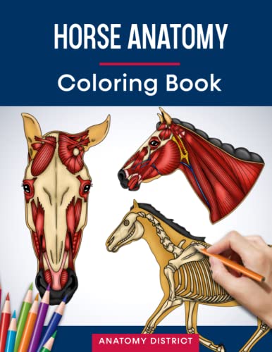 Horse Anatomy Coloring Book: Incredibly Detailed Self-Test Horse