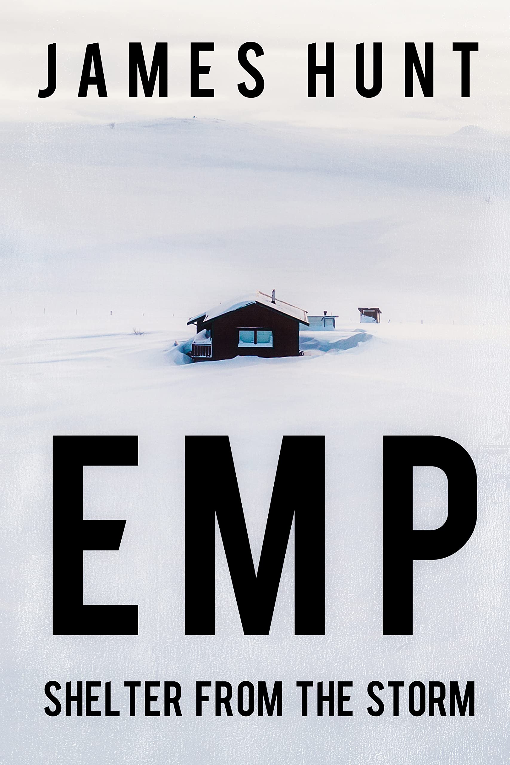 EMP Shelter From the Storm book cover