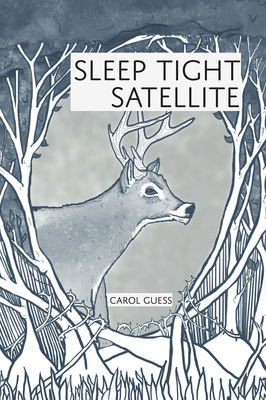 Sleep Tight Satellite book cover