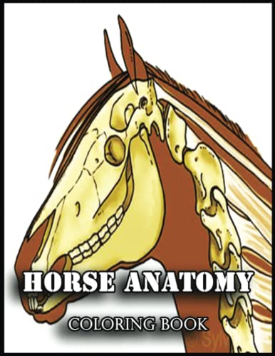 Horse Anatomy Coloring Book: Awesome Horse Anatomy Designs in 110