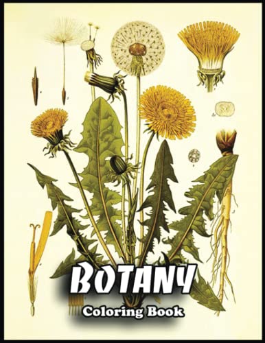 Botany Coloring Book Find Joy - 128099647 