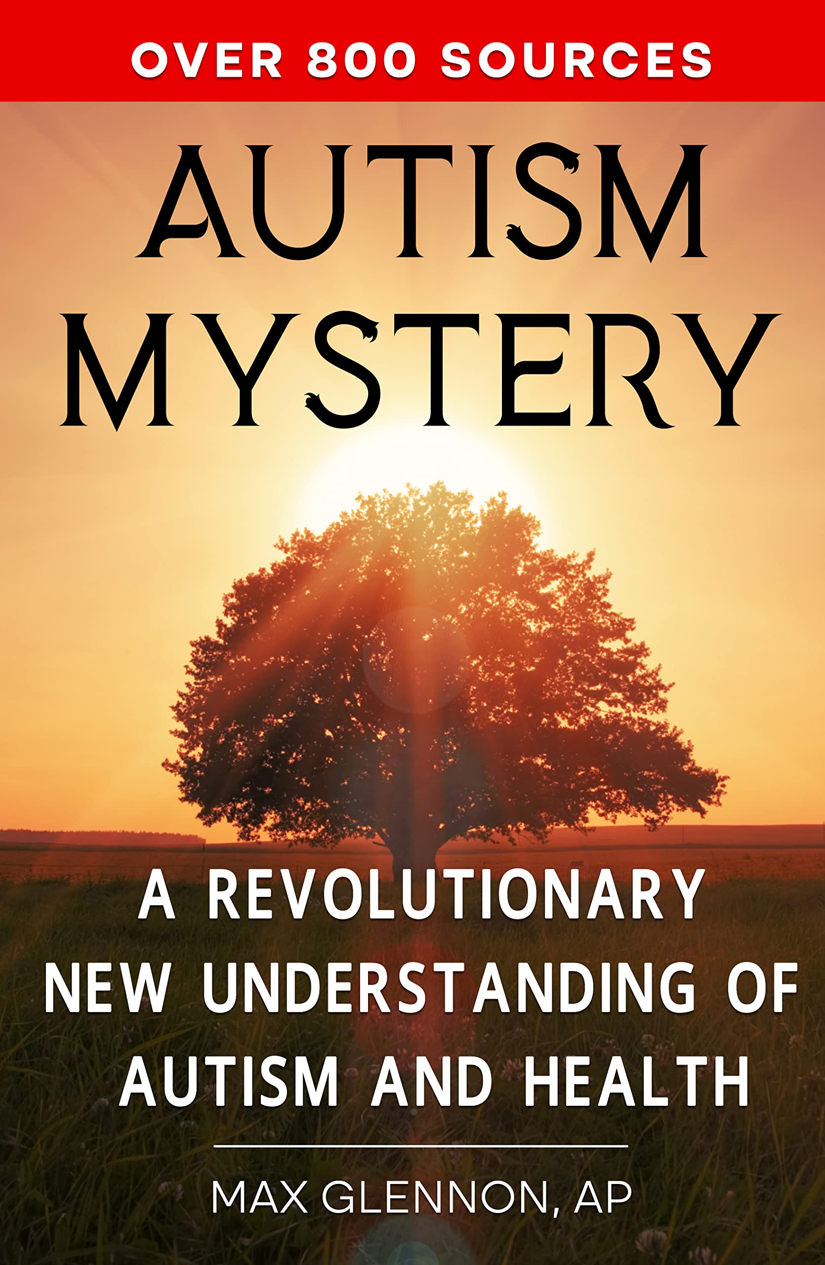 Autism Mystery: A Revolutionary New Understanding of Autism and Health ...