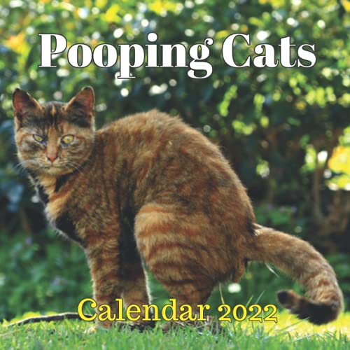 Pooping Cats Calendar 2022 Funny Gift For Cats Lovers Men Women Kids Teens Friends Coworkers