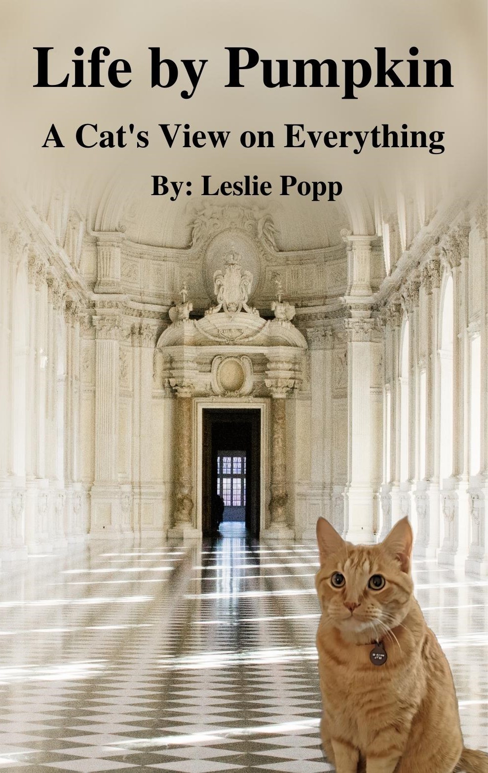 Life by Pumpkin: A Cat's View on Everything