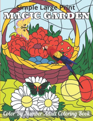 Simple Large Print Magic Garden Color By Number Adult Coloring Book ...