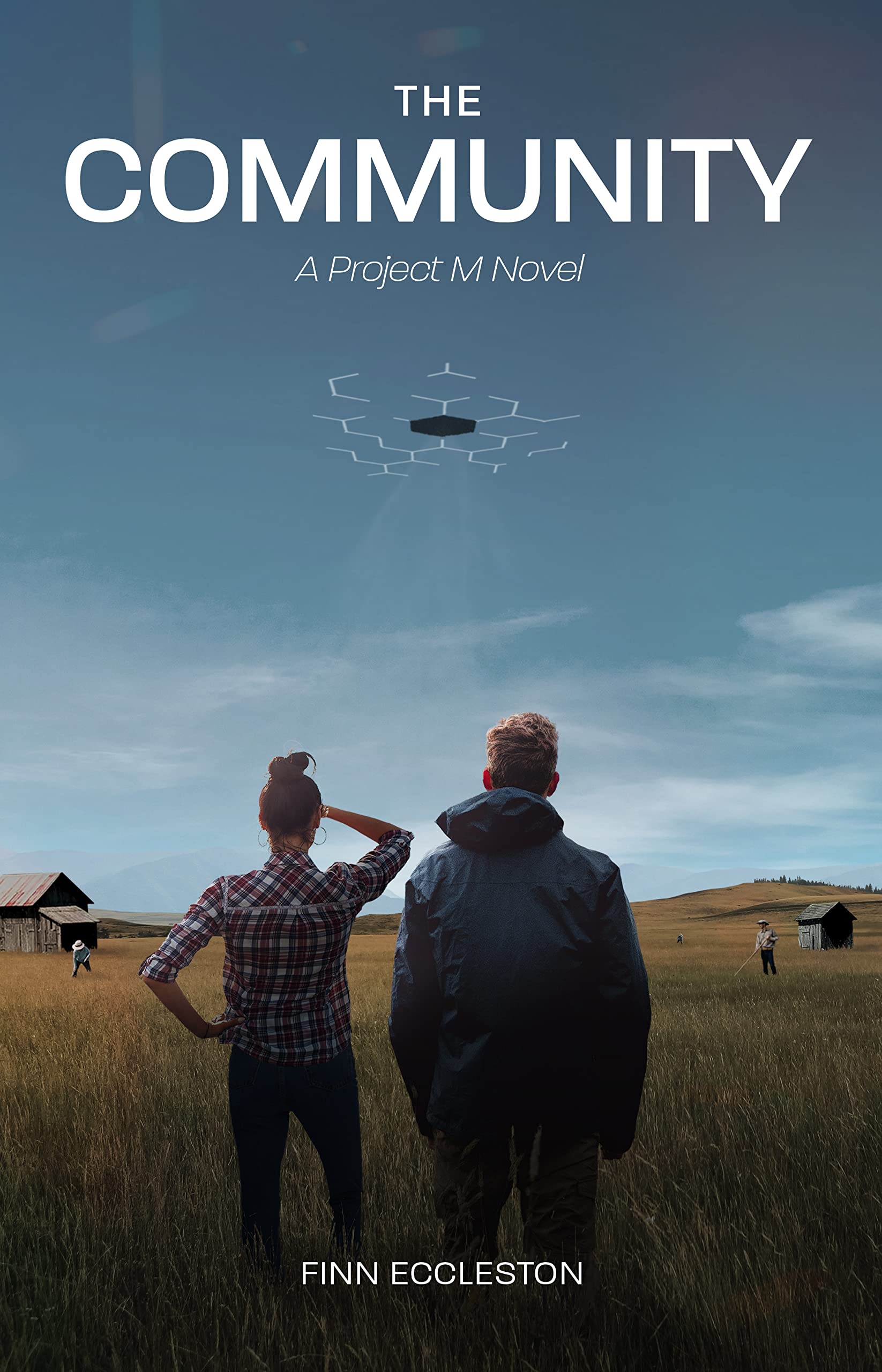 The Community: A Funny and Disturbing Conspiracy Mystery Novel
