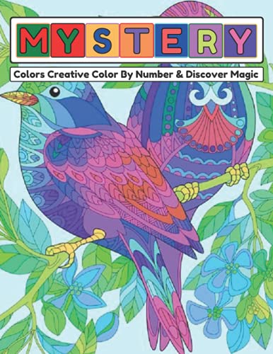 Mystery Color By Number Coloring Book For Adult: An Adult Color By ...