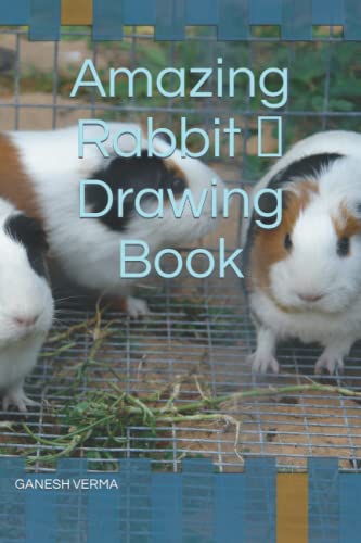 Amazing Rabbit by Ganesh Verma | Goodreads