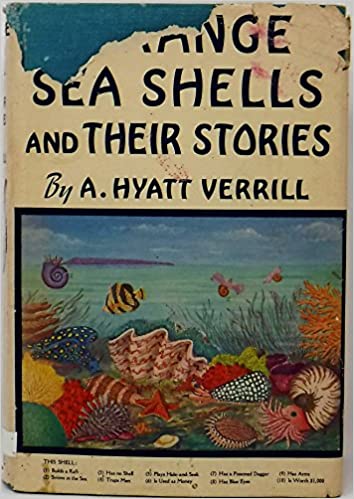 Strange Sea Shells and Their Stories book cover