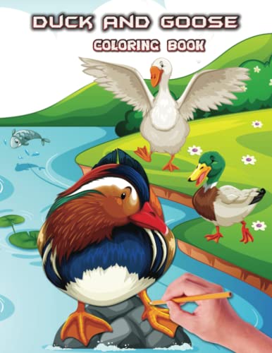 Duck And Goose Coloring Book: Beautiful Coloring Page For Adults, Teen ...