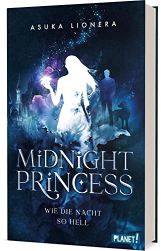 Midnight Princess book cover 1