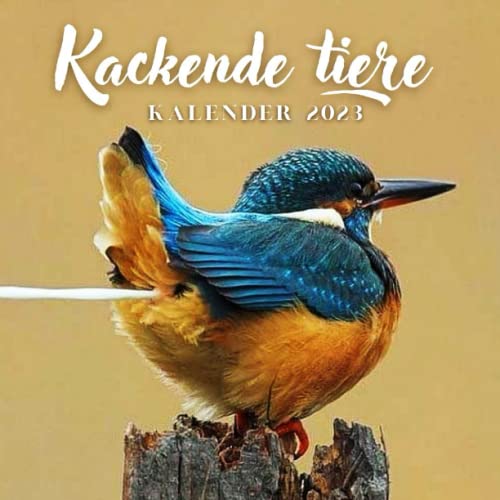kackende tiere kalender 2023: Lustiges Kalender 2023-Lustiger Kalender
