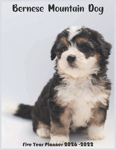 Bernese Mountain dog 2022 2026 Five Year Planner: Official Bernese Bernese Mountain dog 2022 2026 Five Year Planner: Official Bernese