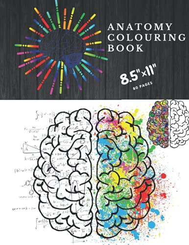 anatomy colouring book: Human body coloring book 80 pages 8.5"× 11 ... Biology Diagrams
