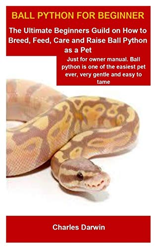 Ball Python For Beginner: Ball Python For Beginner: The Ultimate ...