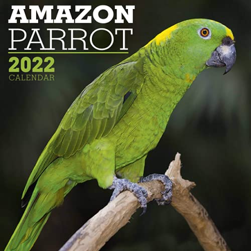 Amazon Parrot Calendar 2022: 2021-2022 calendar animals - animal