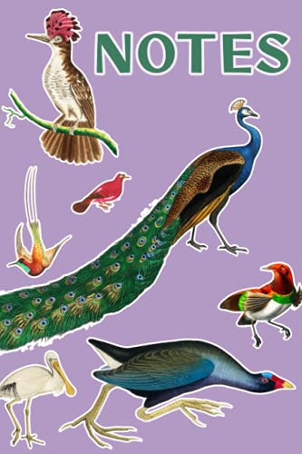 NOTES: Vintage Bird Illustrated Notebook Blank Graph Paper Journal ...