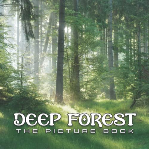 A Picture Book Of Deep Forest Compelling Photos Of Deep Forest Collection As A Perfect Gift