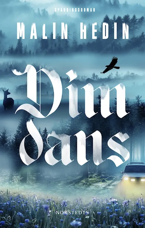 Dimdans