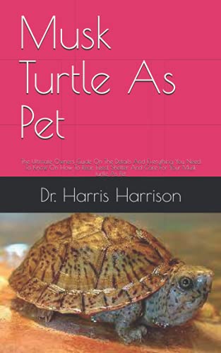 Musk Turtle As Pet: The Ultimate Owners Guide On The Details And ...
