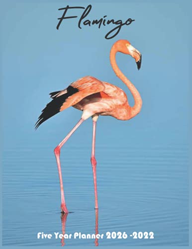 Flamingo 2022-2026 Five Year Planner: 5 Year Monthly Planner