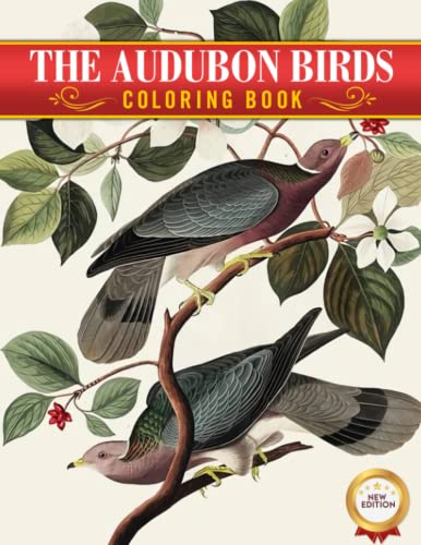 The Audubon Birds Big Coloring Book: Coloring Book For Adults Men Women ...