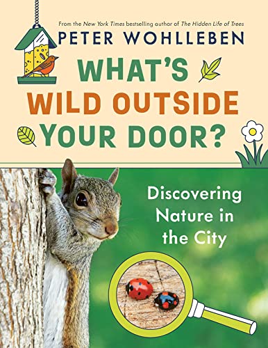 What's Wild Outside Your Door? book cover